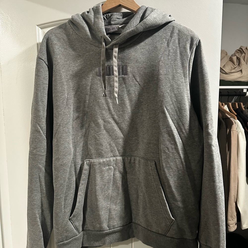 Puma Gray Hoodie